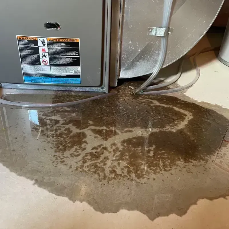 Appliance Leak Cleanup in Goreville, IL